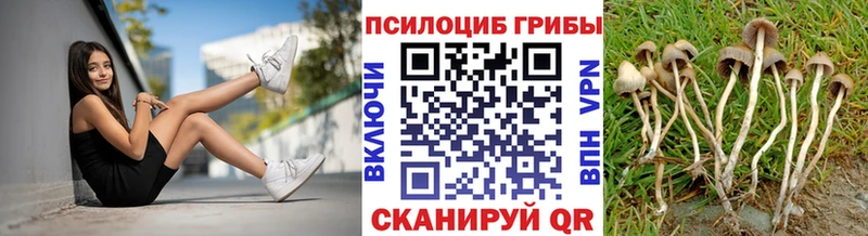 Галлюциногенные грибы прущие грибы hydra Кубинка как найти