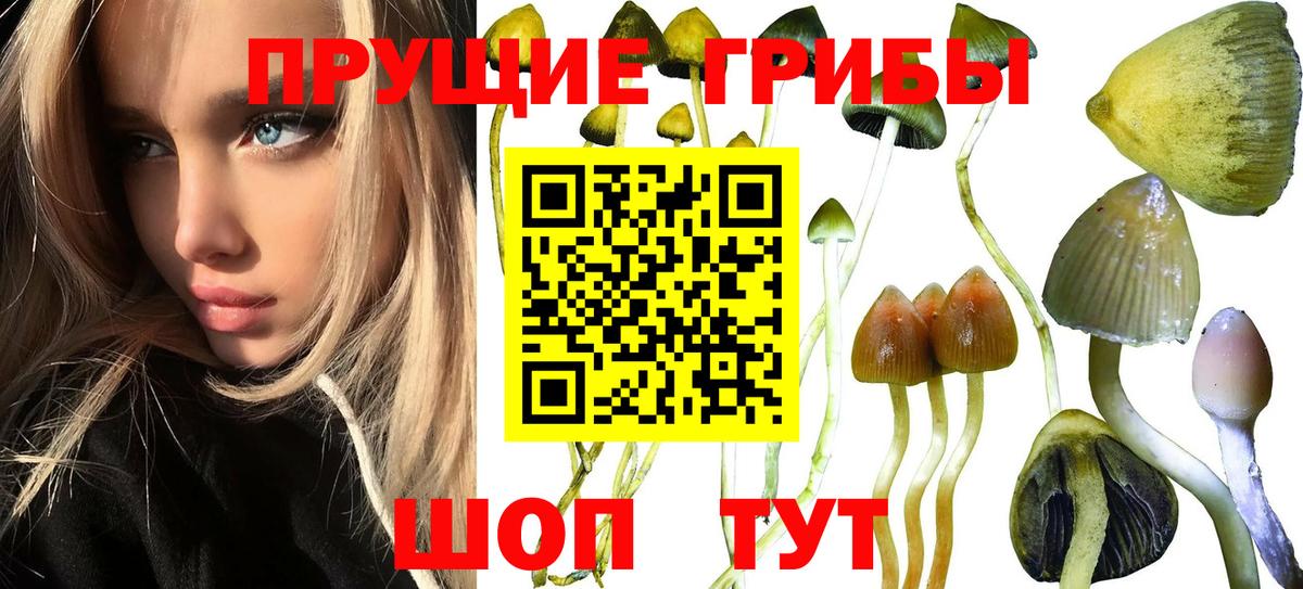 Кубинка  Псилоцибиновые грибы ЛСД  Вход с VPN 